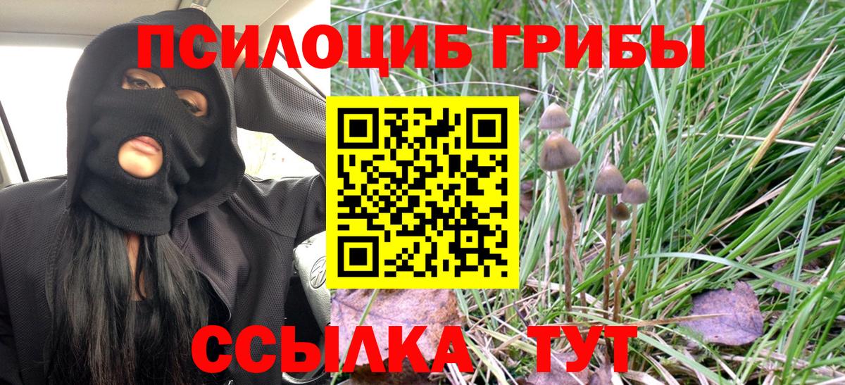 Скопин  Псилоцибиновые грибы прущие грибы  дарнет шоп  Вход с VPN 