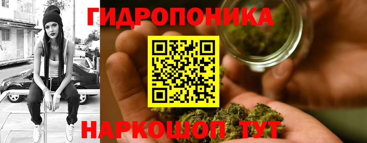 Конопля семена Скопин